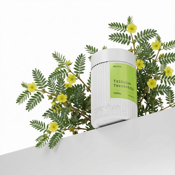Tribulus Terrestris — descrição