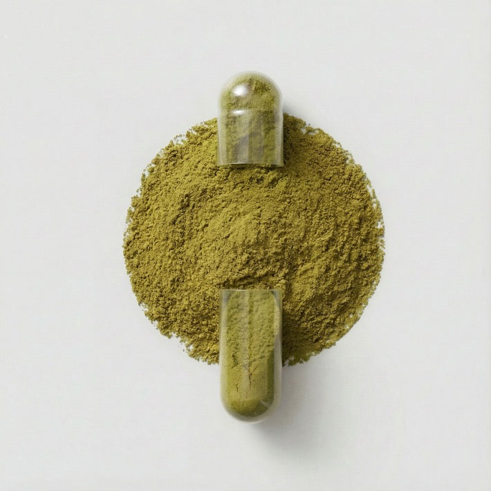 Ginkgo Biloba — composição