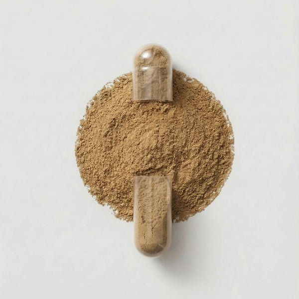 ASHWAGANDHA (KSM-66®) 300MG