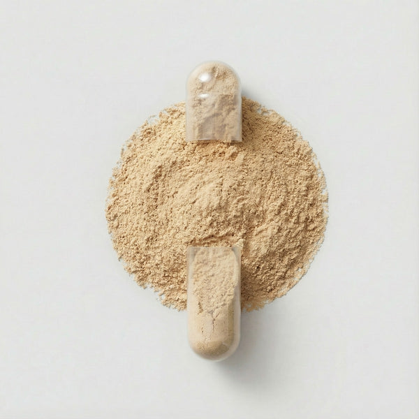 FENO GREGO 1000MG