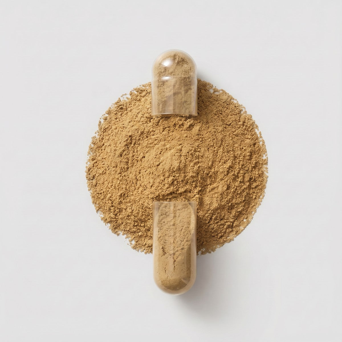 TRIBULUS TERRESTRIS 500MG - Seviva