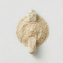 Ginseng Panax — galeria 2