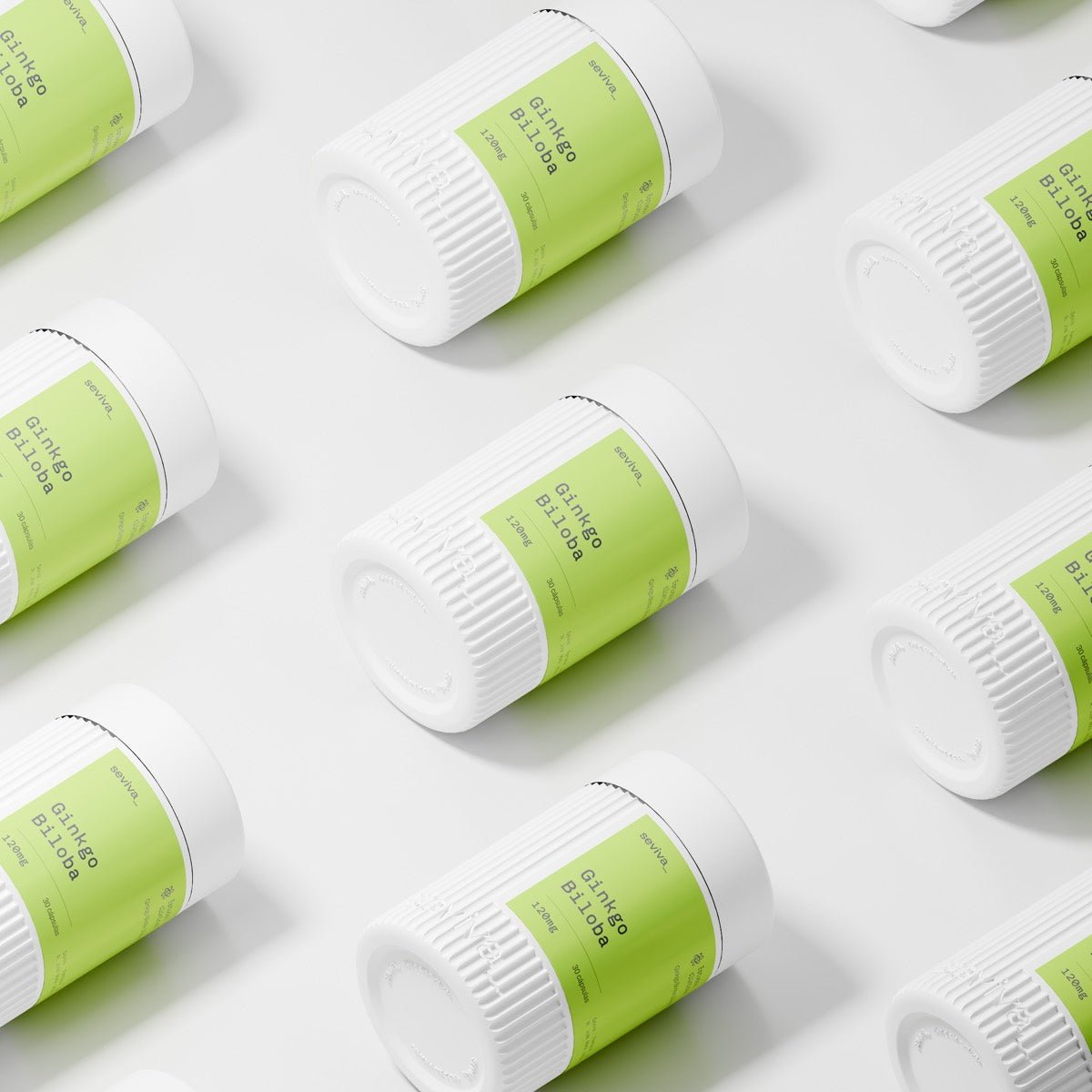 GINKGO BILOBA 120MG — composição