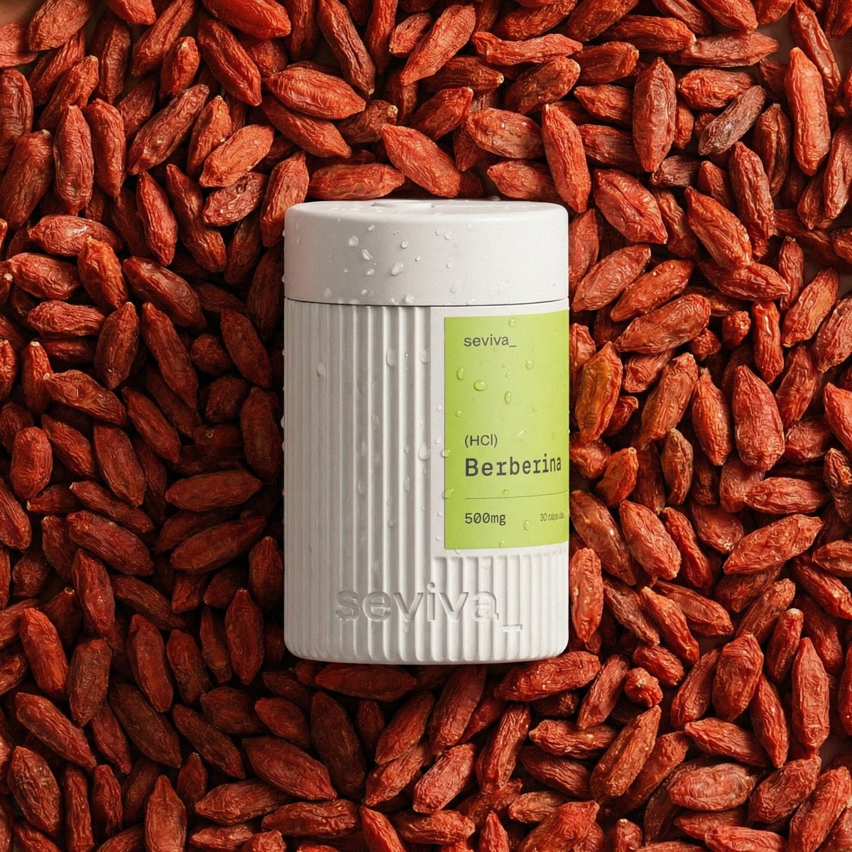 BERBERINA 500MG - Seviva