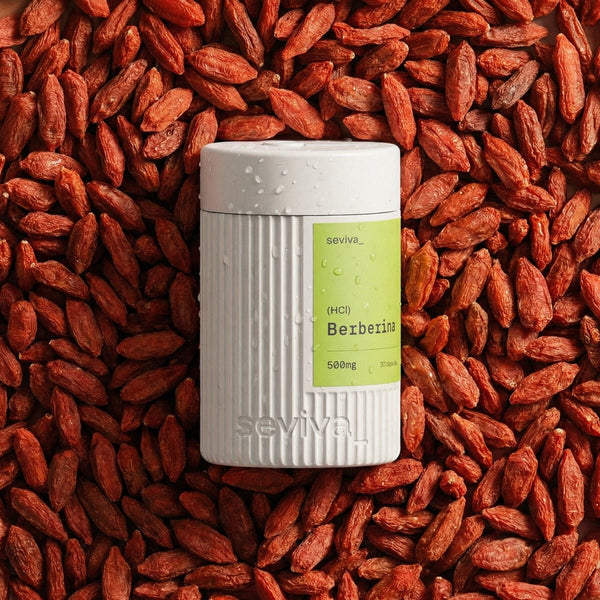 BERBERINA 500MG - Seviva