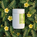TRIBULUS TERRESTRIS 500MG - Seviva