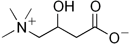 L-Carnitina